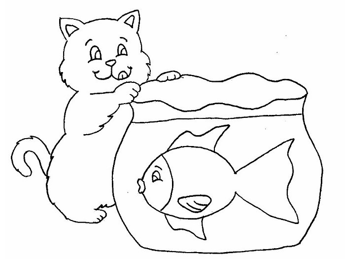 gattino con pesce in acquario