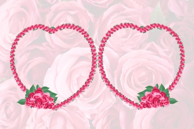 cuori di rose tra le rose